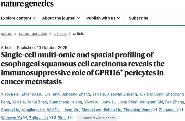 中国科学家揭示食管癌转移新机制：GPR116阳性周细胞成为关键驱动因素