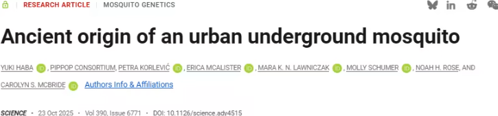 普林斯顿大学研究重写“地铁蚊”进化史:人咬型库蚊或起源于千年前的古埃及