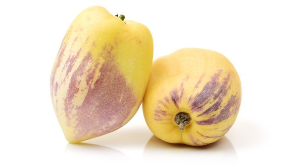 色素性紫癜能通过激光治疗吗