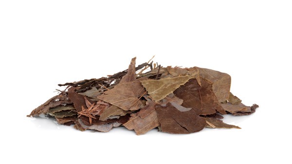 骨肉瘤的早期症状