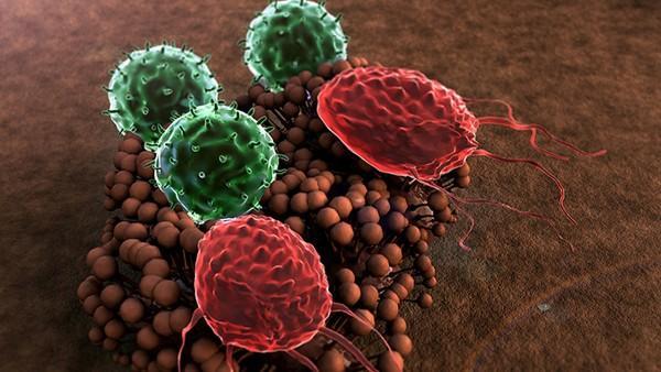 合胞病毒感染的乏力症状