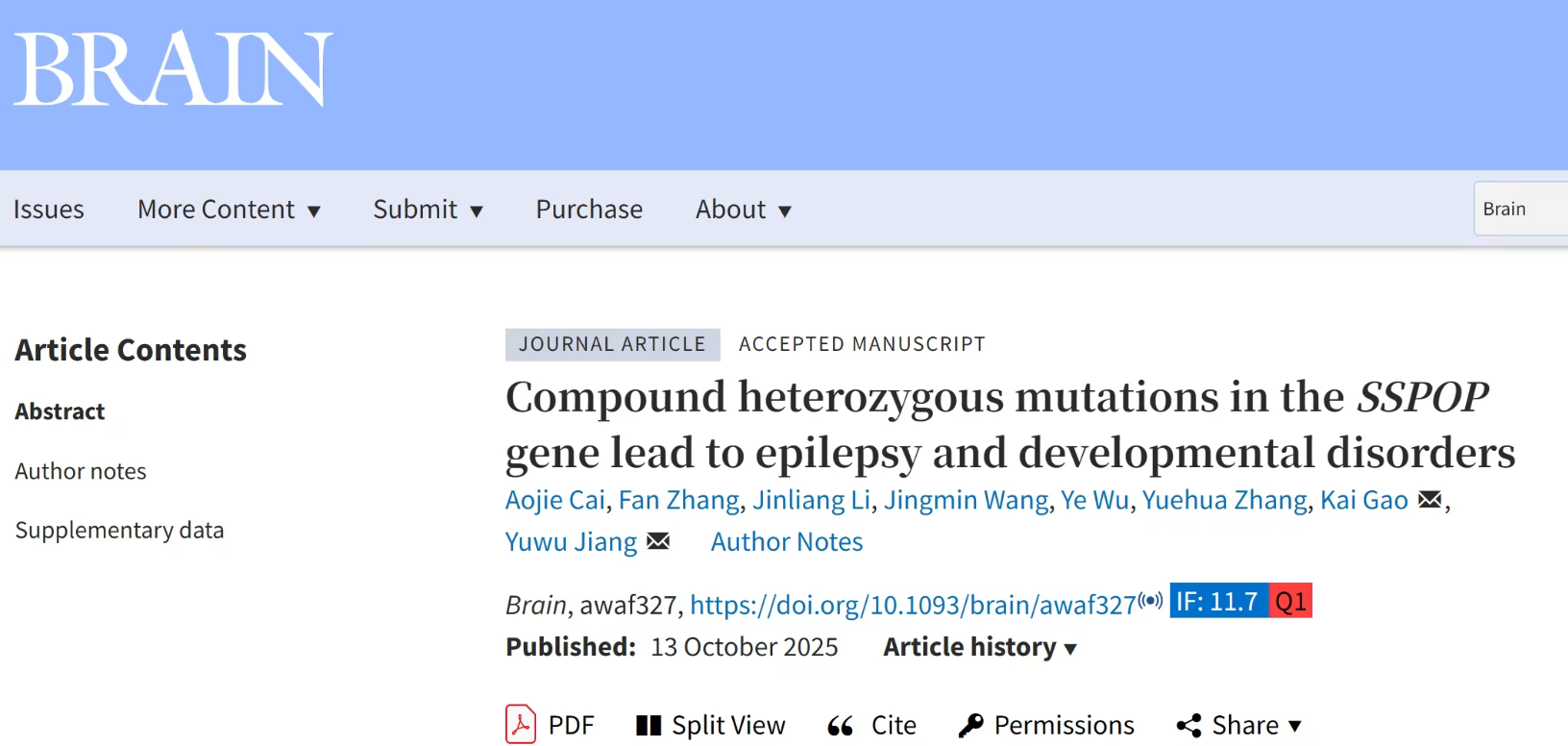 儿童癫痫与发育障碍无明确病因,家长焦虑难解