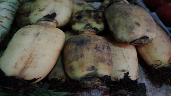 止血时能做什么锻炼