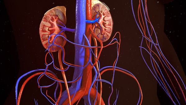 心厥与高血压的关系