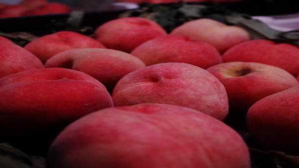 胸膜炎与肺癌的关系