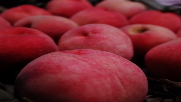 系统性肥大细胞增多症的免疫治疗效果