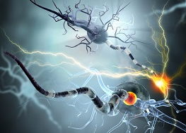 “扇耳光大赛”登上热搜：惊险背后的致命隐患