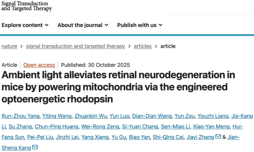光为线粒体“充电”：郑州大学与复旦大学合作揭示眼部退行性病变新疗法