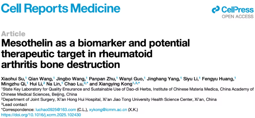 Cell Reports Medicine 发表中国学者新成果：MSLN成类风湿关节炎骨破坏潜在治疗靶点
