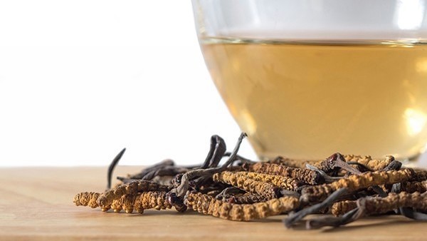 甲状旁腺功能亢进症患者的心理支持