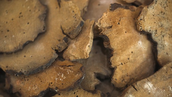 绿脓杆菌感染的早期治疗方案