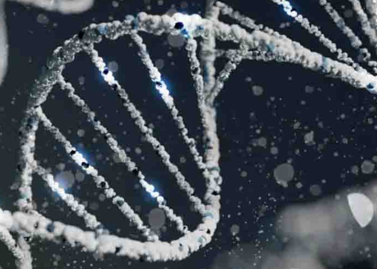 惠和生物创新药CC312获FDA临床试验许可