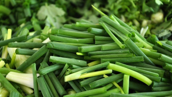 淋巴癌与感染的关系