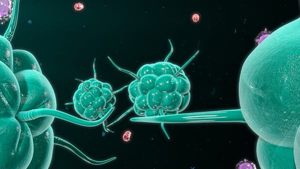 急性高原病的药物副作用