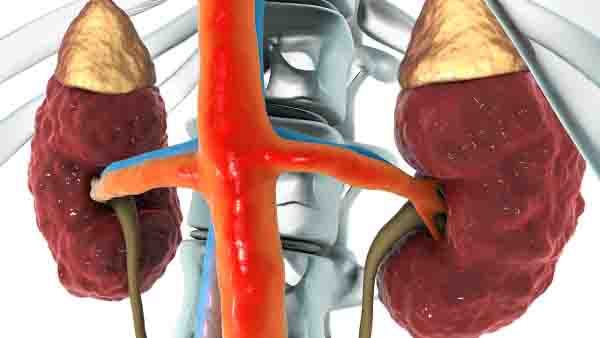 汞皮炎是否与个人卫生习惯有关