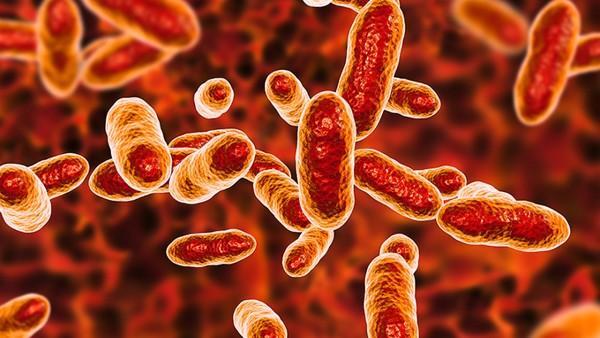 地中海贫血症的并发症有哪些？