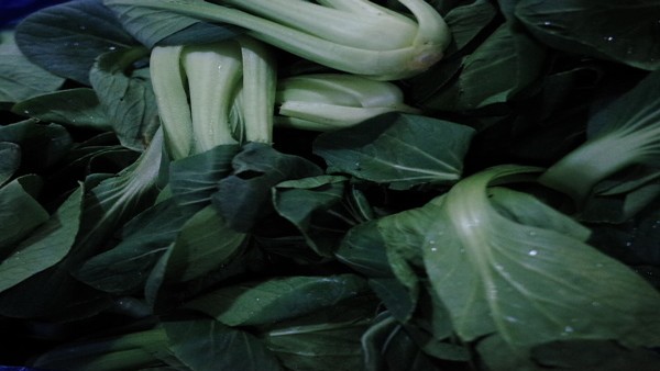 消化不良的食物过敏反应