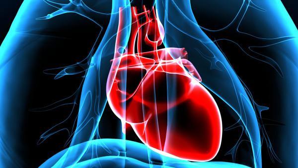 疟疾的耐药性问题