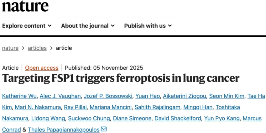 铁死亡的机制与癌症治疗的潜力
